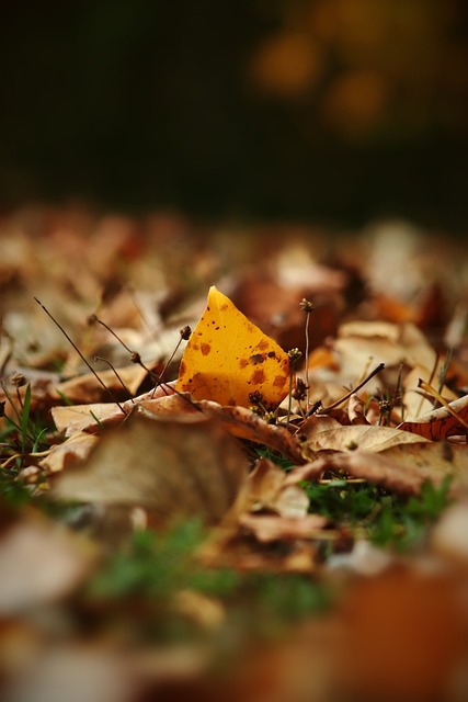 同时内心也 同时内心也