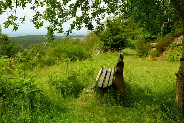 场上的表现 场上的表现
