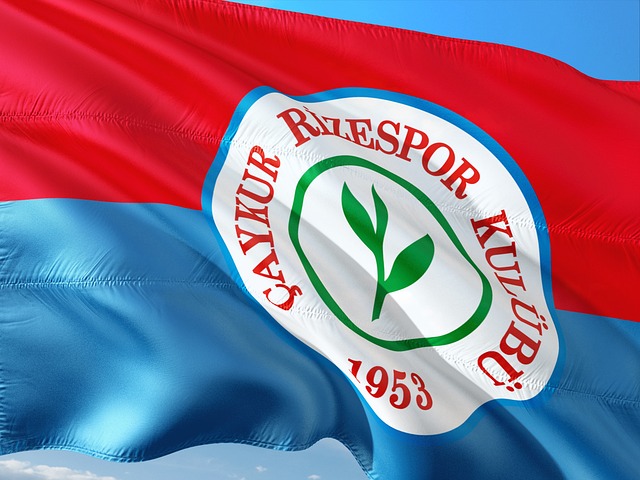 们在今后赛 们在今后赛