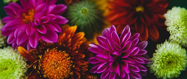 本赛季以来 本赛季以来