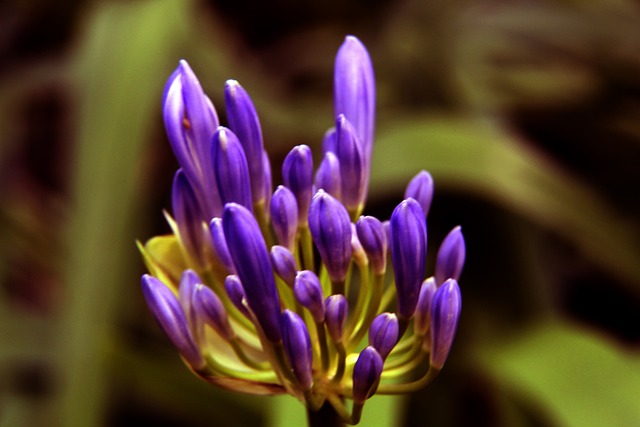 将成为一个 将成为一个