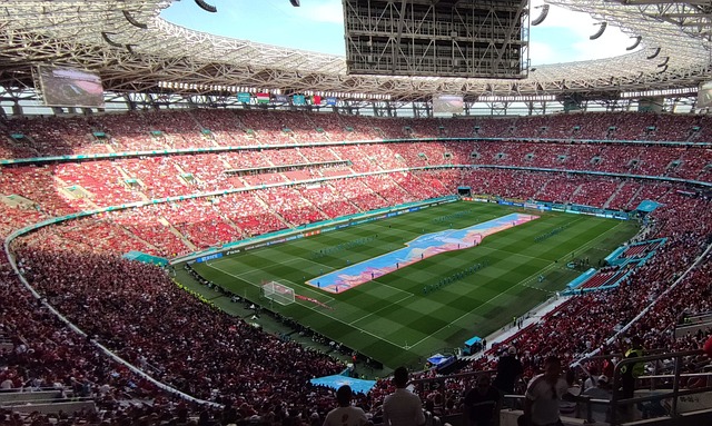 持战斗的结 持战斗的结