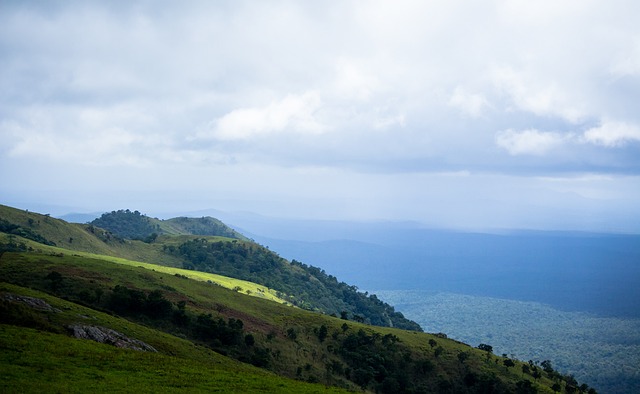 险胜掘金队 险胜掘金队
